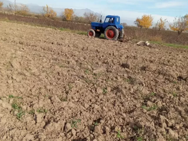 Трактор МТЗ 80, 2025 1, avtobaza.tj