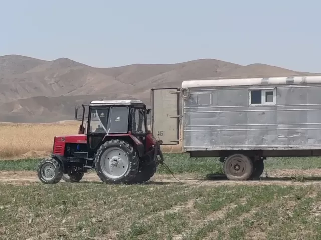 Трактор Мтз, 2013 1, avtobaza.tj