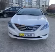 Hyundai Sonata, 2010 в Восе 