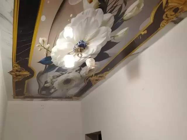 Натяжные потолки за 1 день с гарантией 1, farmo.tj