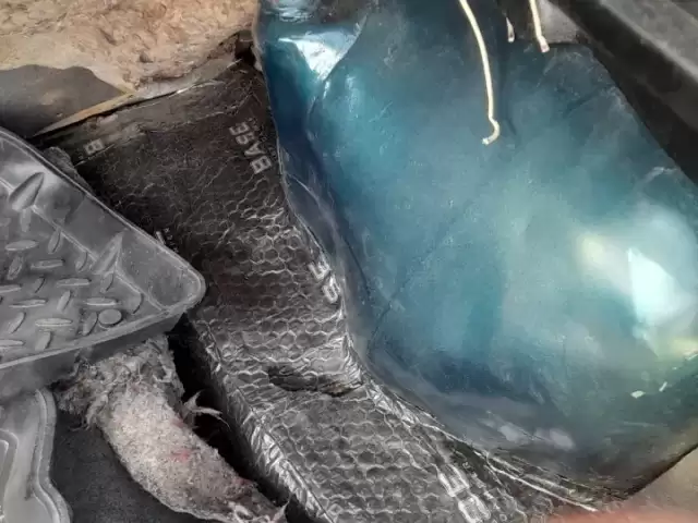 Opel Astra F, 1995 1, avtobaza.tj