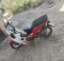 Cкутер утка, 2018 в Ашт