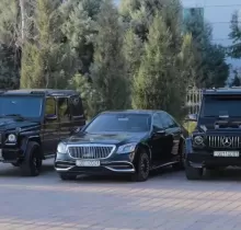 Закази Мошинхои Туй в Душанбе