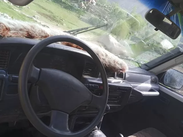 Toyota Land Cruiser, 1995 1, avtobaza.tj