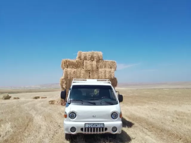 Hyundai Porter, 2000 1, avtobaza.tj