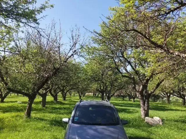 Opel Zafira, 2005 1, avtobaza.tj