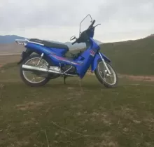 Скутер Утка, 2024 в Дангара