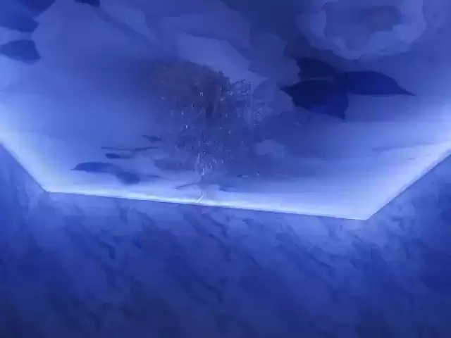 Услуги ремонт 1, farmo.tj