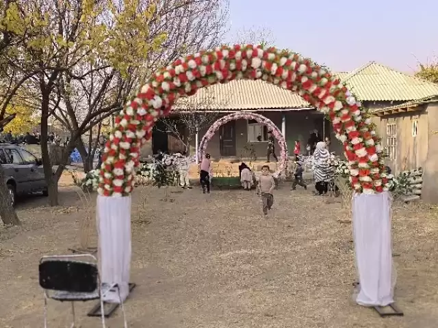 Камера + арка для свадьбы 1, farmo.tj