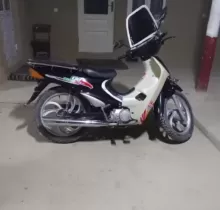 Скутер утка, 2020 в Пенджикент