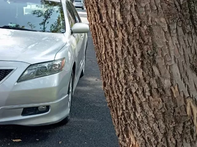 Toyota Camry 1, avtobaza.tj