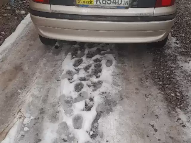 Opel Astra F, 1996 1, avtobaza.tj Opel Astra F, 1996 1, avtobaza.tj