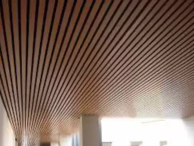 Речний паталок 1, farmo.tj