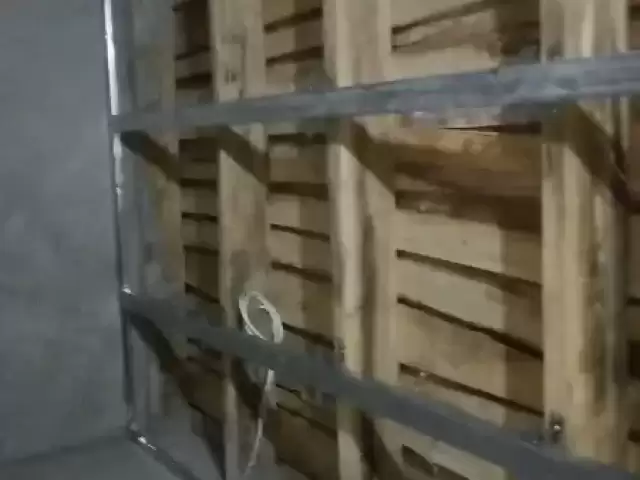 Услуги Разнорабочий 1, farmo.tj