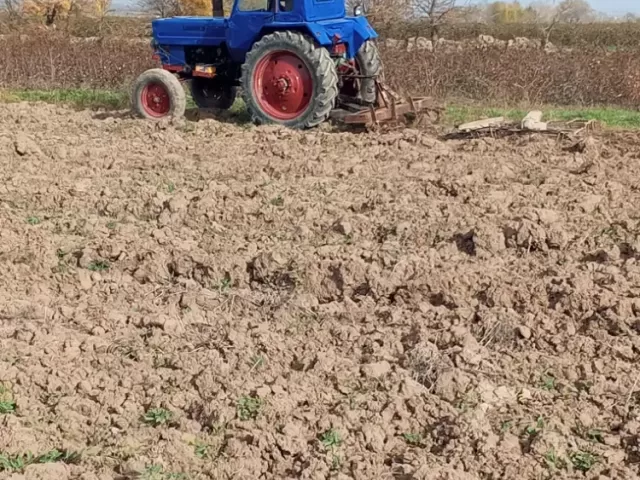 Трактор МТЗ 80, 2025 1, avtobaza.tj
