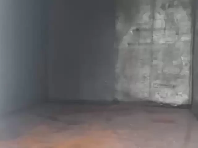 Грузовики Газель, 2011 1, avtobaza.tj Грузовики Газель, 2011 1, avtobaza.tj