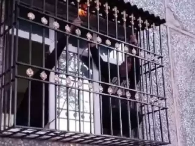 Ришотка под заказ 1, farmo.tj