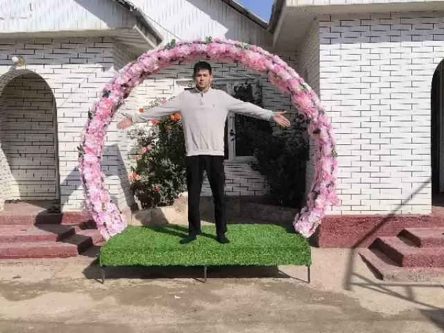 Камера + арка для свадьбы 1, farmo.tj