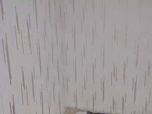Услуги Отделка 1, farmo.tj