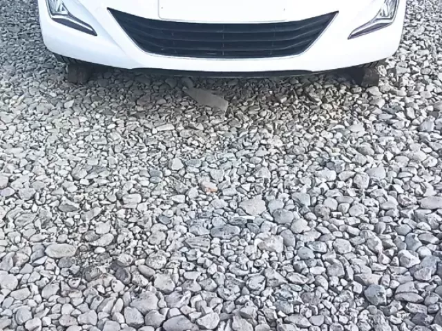 Hyundai Avante, 2014 1, avtobaza.tj