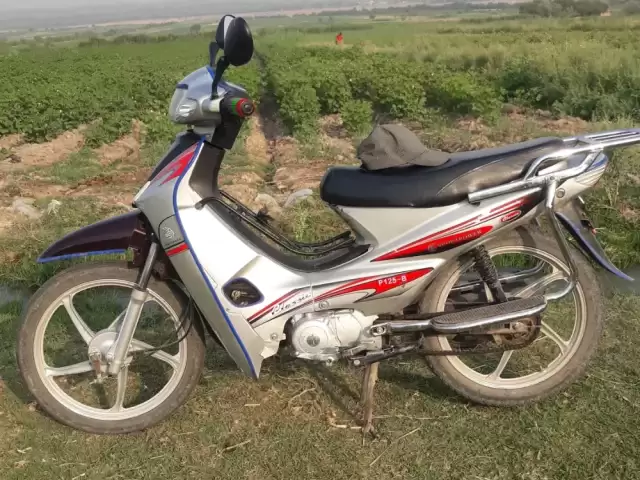 Скутер Утка 125, 2024 1, avtobaza.tj