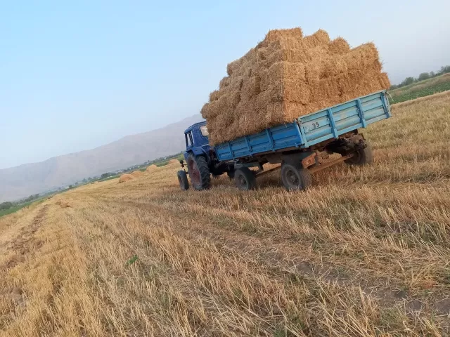 Трактор МТЗ 80, 2000 1, avtobaza.tj