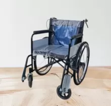 Каляскаи Абичний в Душанбе 