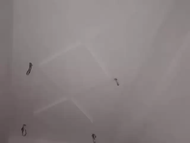 Устои Шкатурчик 1, farmo.tj