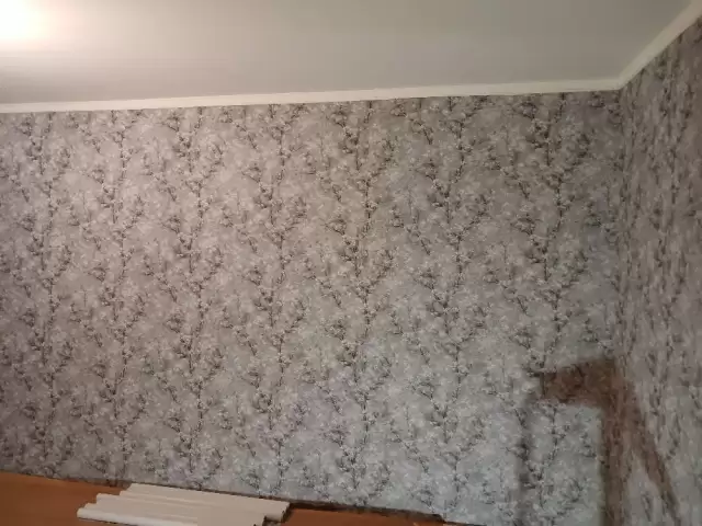 Ремонт косметика капиталка 1, farmo.tj