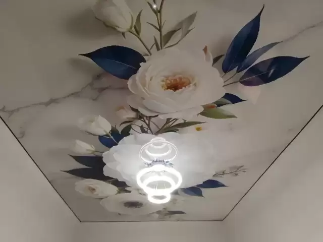 Услуги Натижной потолок 1, farmo.tj