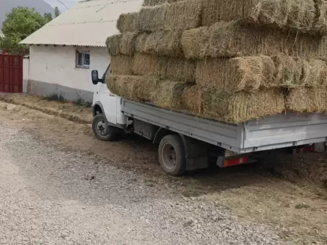 Грузовики Газель, 2007 1, avtobaza.tj