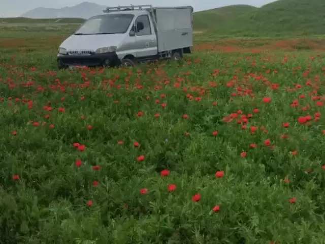 Грузовики Hyundai, 2000 1, avtobaza.tj