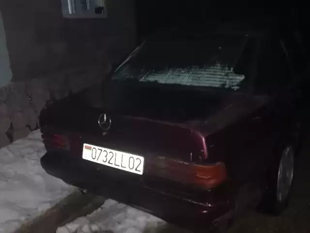 Mercedes-Benz 190, 1992 1, avtobaza.tj