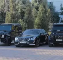 Закази Мошинхои Туй в Душанбе - Farmo.tj 