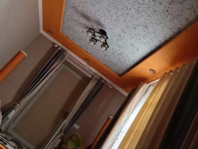 Устои хонаҳо 1, farmo.tj