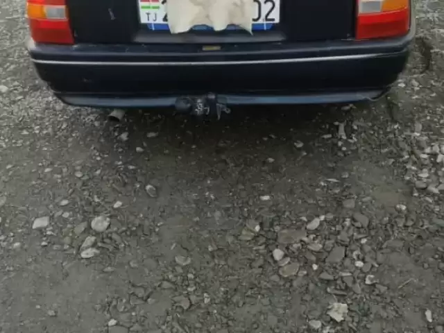 Opel Vectra A, 1991 1, avtobaza.tj