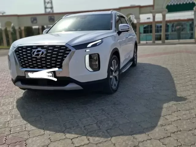 Hyundai Palisade 1, avtobaza.tj