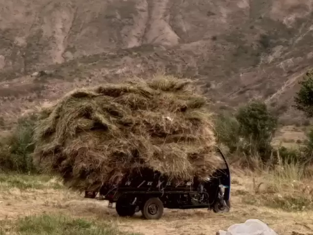Грузавой Мотороллер, 2025 1, avtobaza.tj