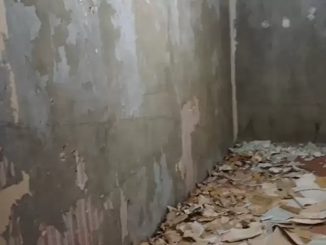 Ремонт косметика капиталка 1, farmo.tj