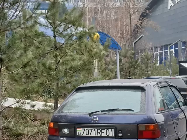 Opel Astra F, 1997 1, avtobaza.tj