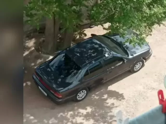 Nissan Maxima, 1994 1, avtobaza.tj
