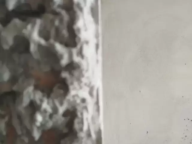 Услуги Штукатурка 1, farmo.tj