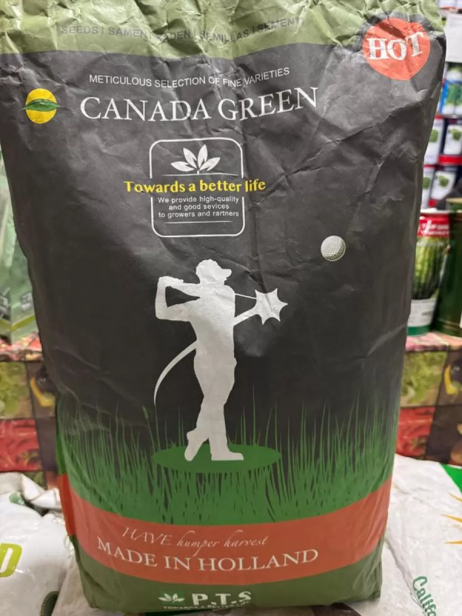 Тухми газон Canada Green 1, Agros.tj