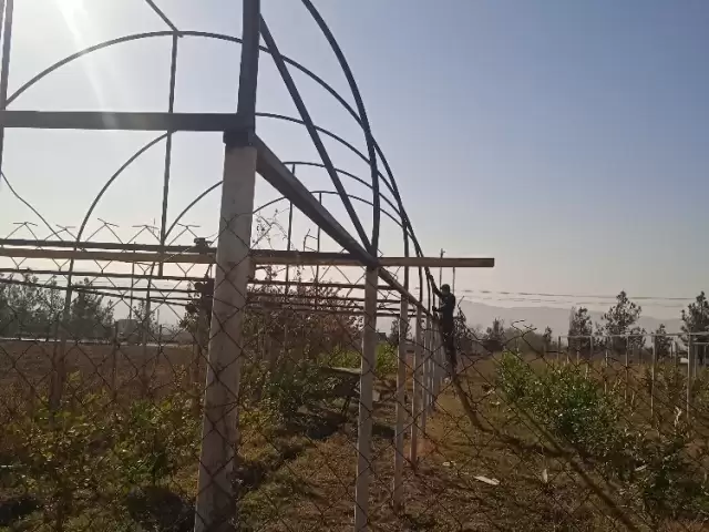 Услуги Сварщик 1, farmo.tj