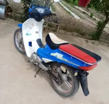 Скутер утка, 2012 в Джайхун (Кумсангир) 