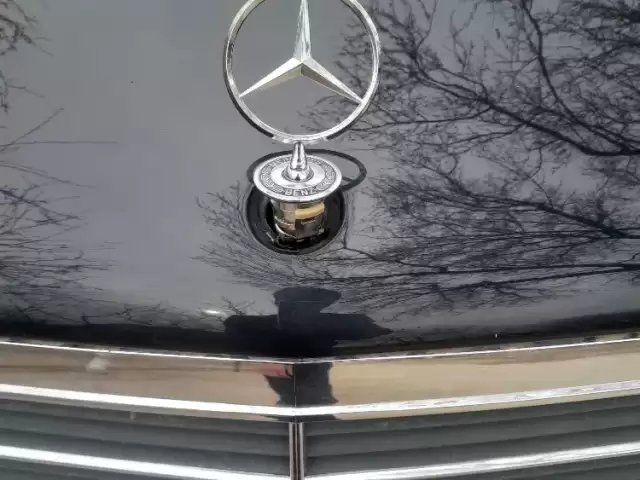 Знаки капот Mercedes 1, avtobaza.tj