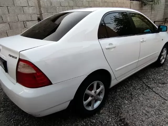 Toyota Corolla 1, avtobaza.tj