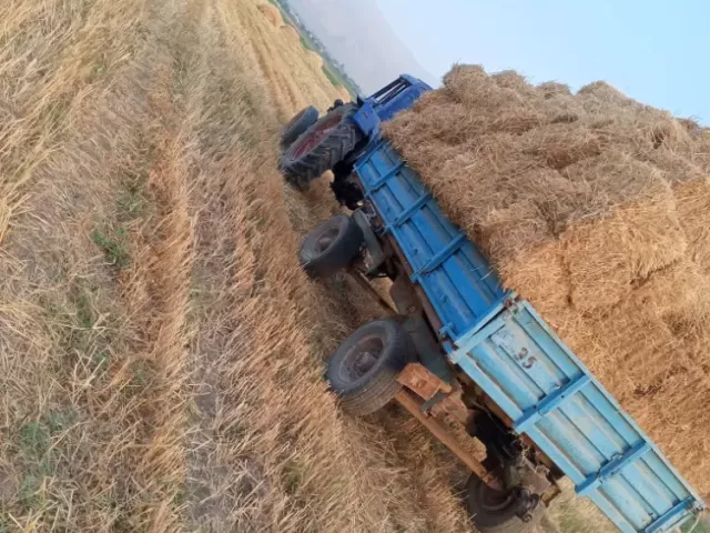Трактор МТЗ 80, 2000 1, avtobaza.tj