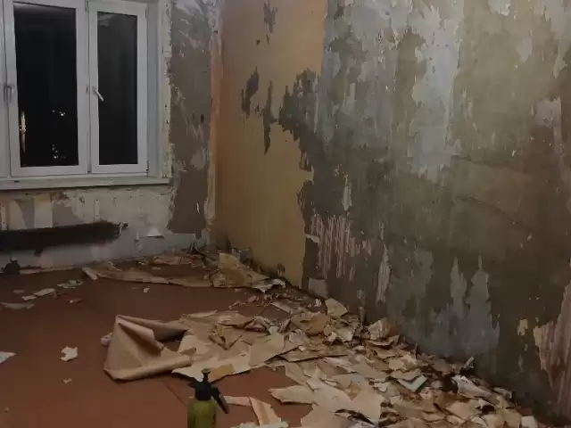 Ремонт косметика капиталка 1, farmo.tj