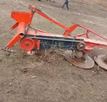 Каслка алафдравак, 2019 в Шамсиддин Шохин (Шуроабад)